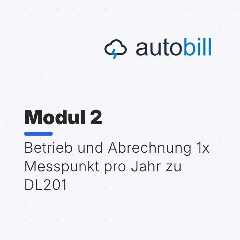 [DL202] Module 2 / Operation and Billing: 1 measurement point per year for DL201